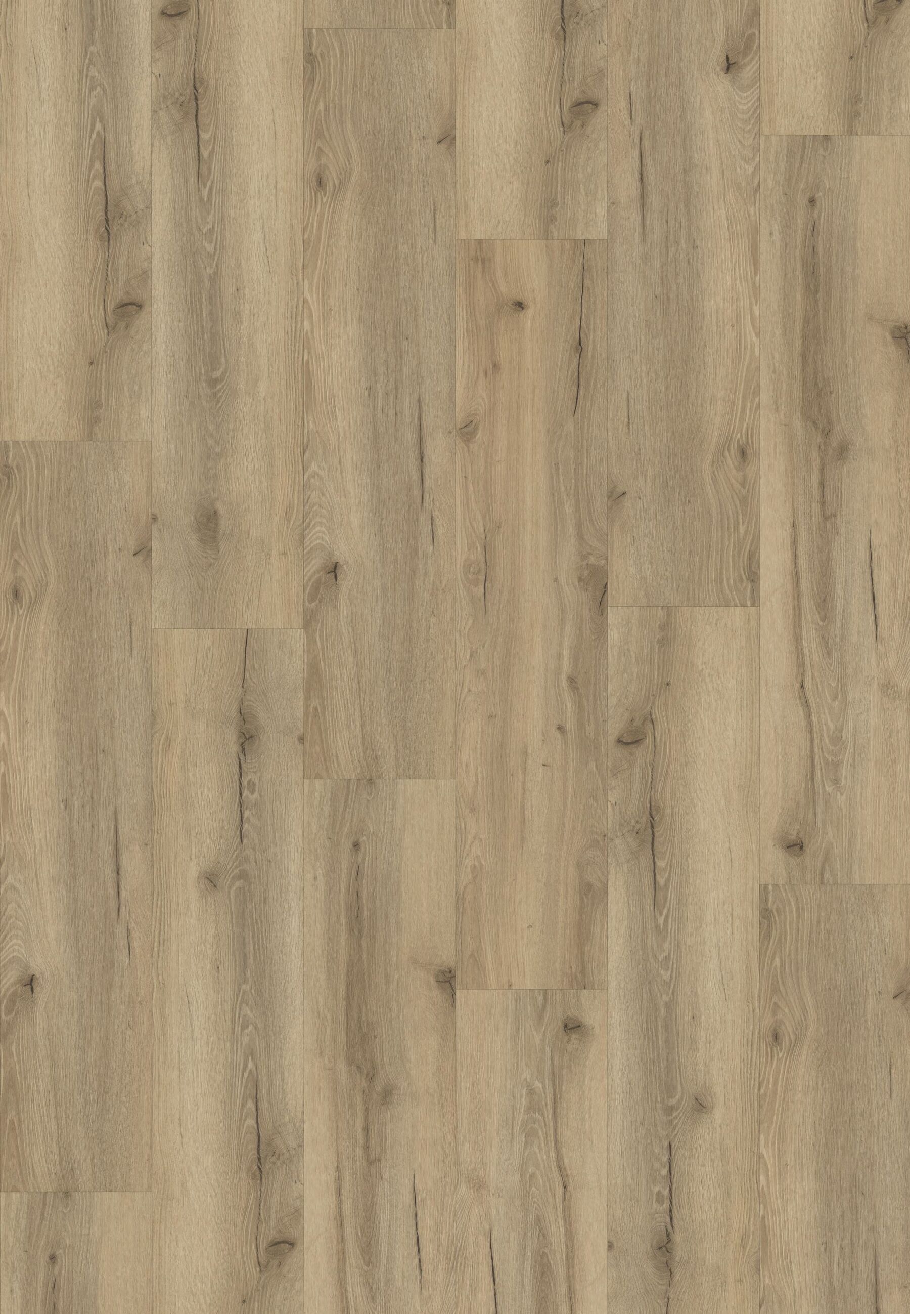 Klick-Vinylboden Eiche Cumin inkl. Trittschalldämmung