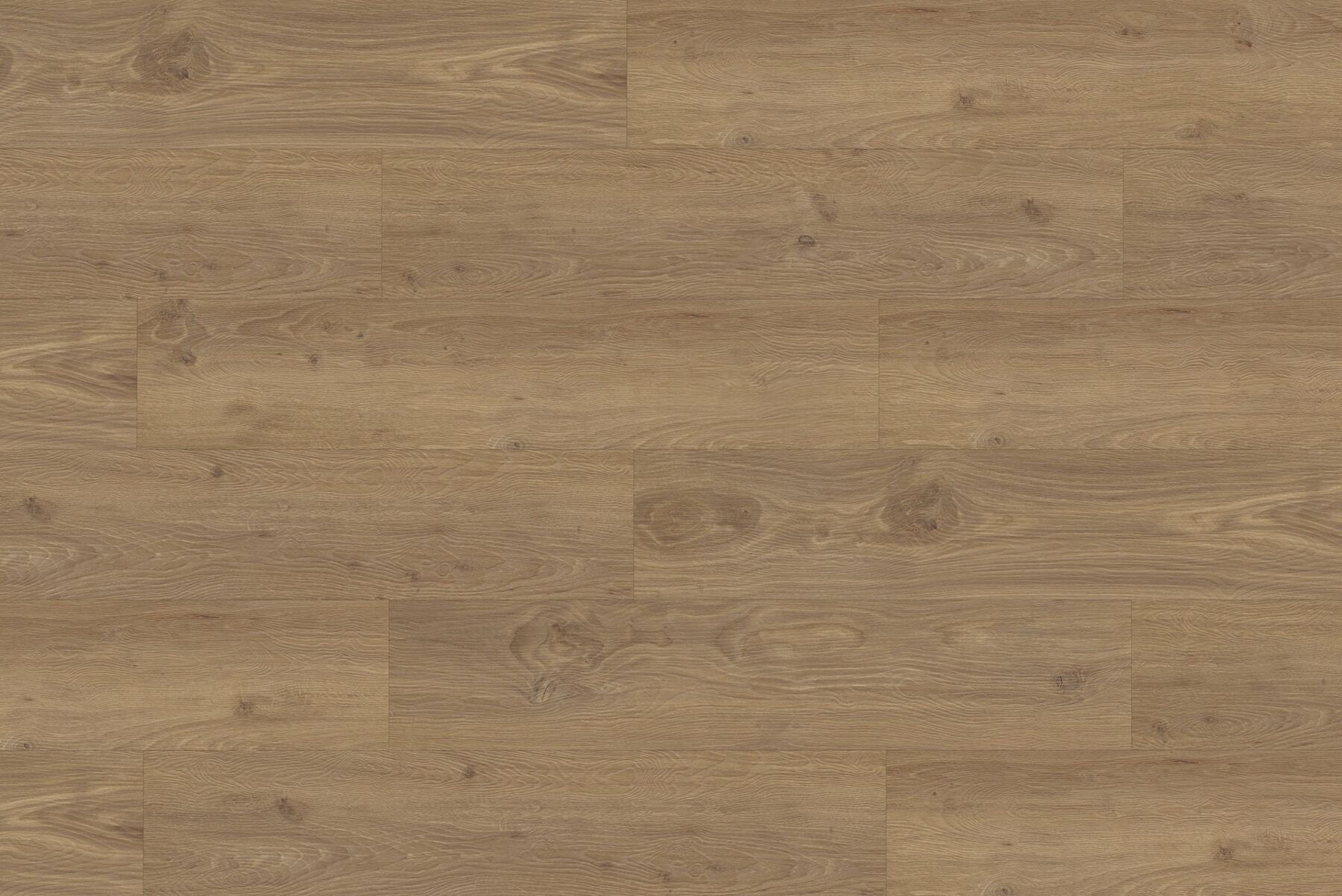 Fußboden, Bodenbeläge, Holz, Sperrholz, Hartholz