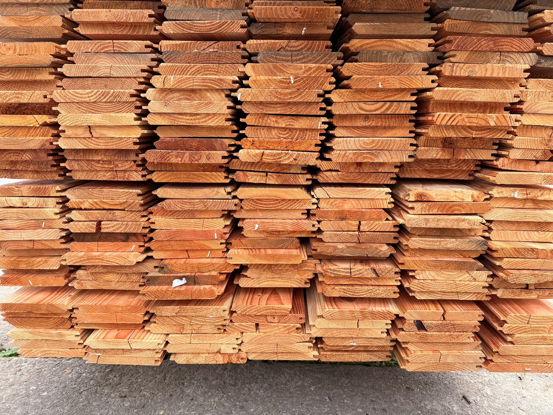 Sonderposten Fasebretter Douglasie, 18x145x5000 mm