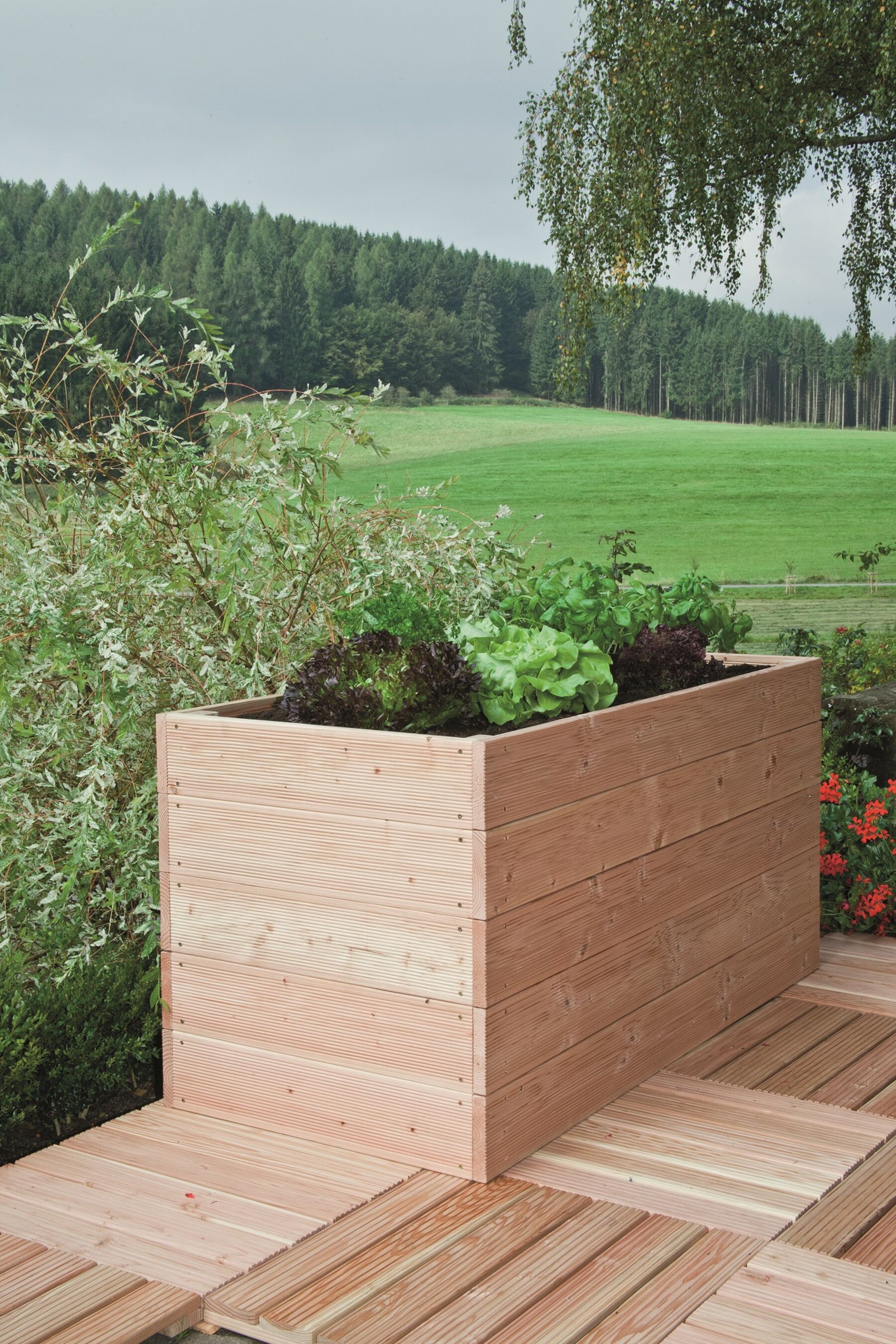 Krug, Pflanzgefäß, Topfpflanze, Vase, Innenarchitektur