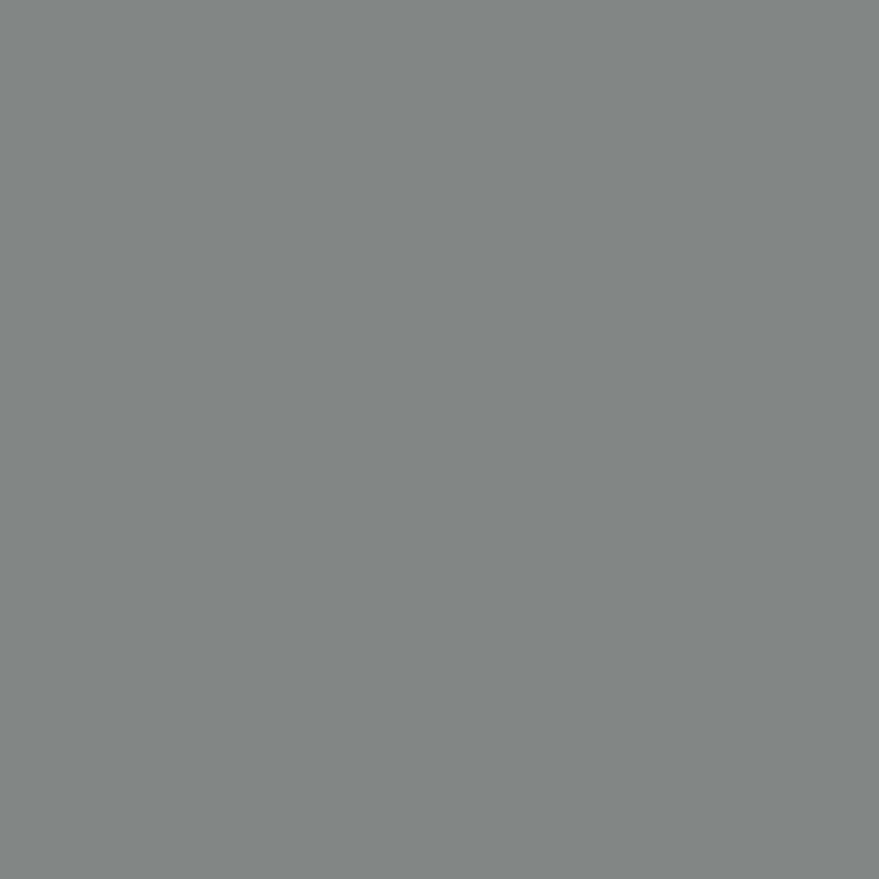 Silber RAL 9007
