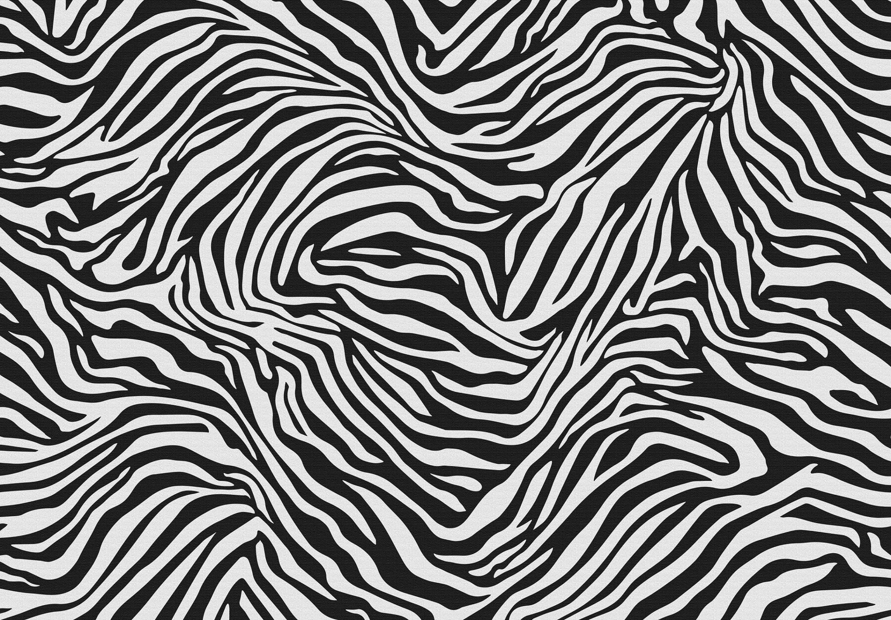 Muster, Dekoration für Zuhause, Zebra, Teppich, Textur