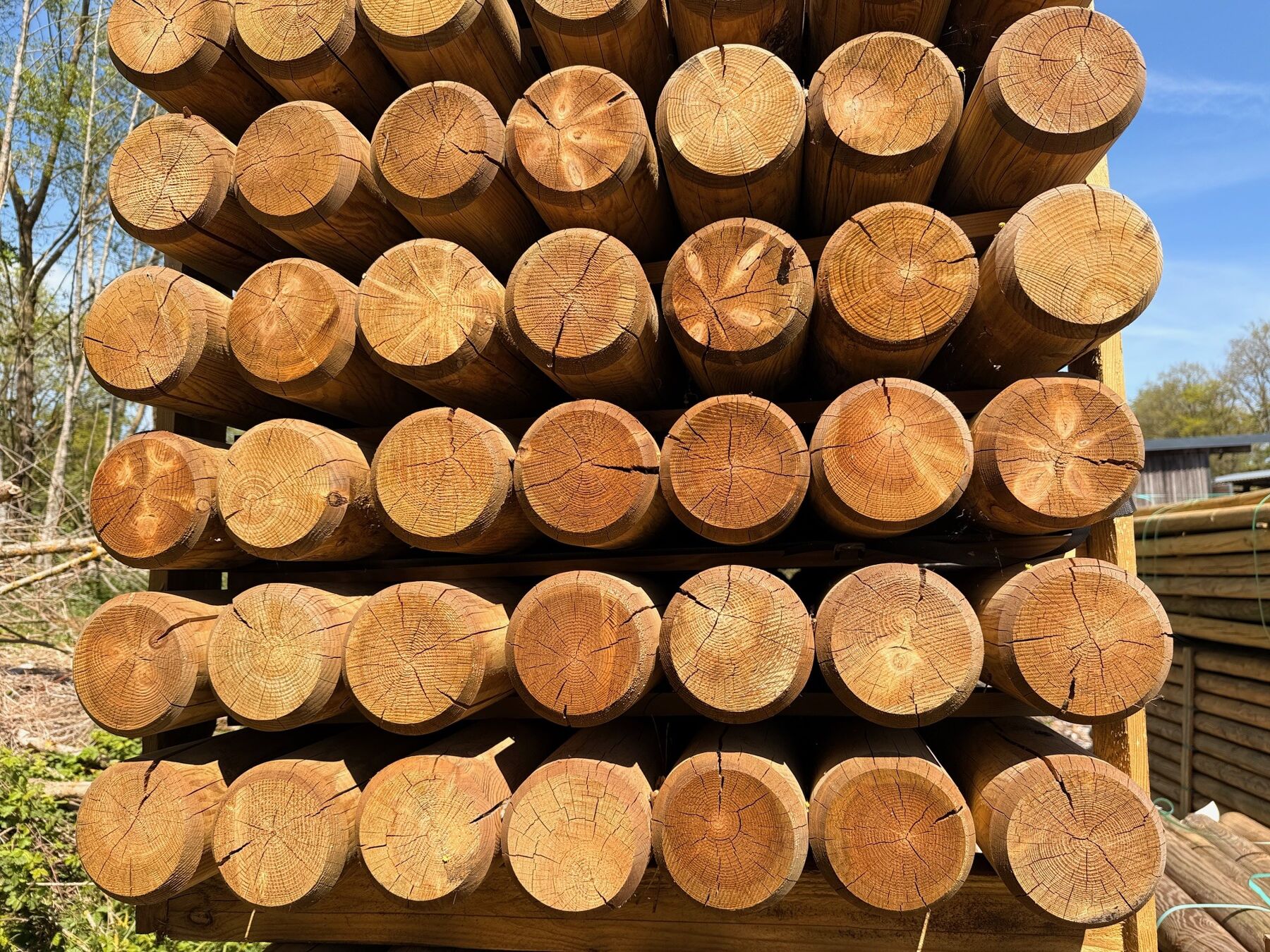 holzstämme, rundholz, holzblock, stapel, baustoffe