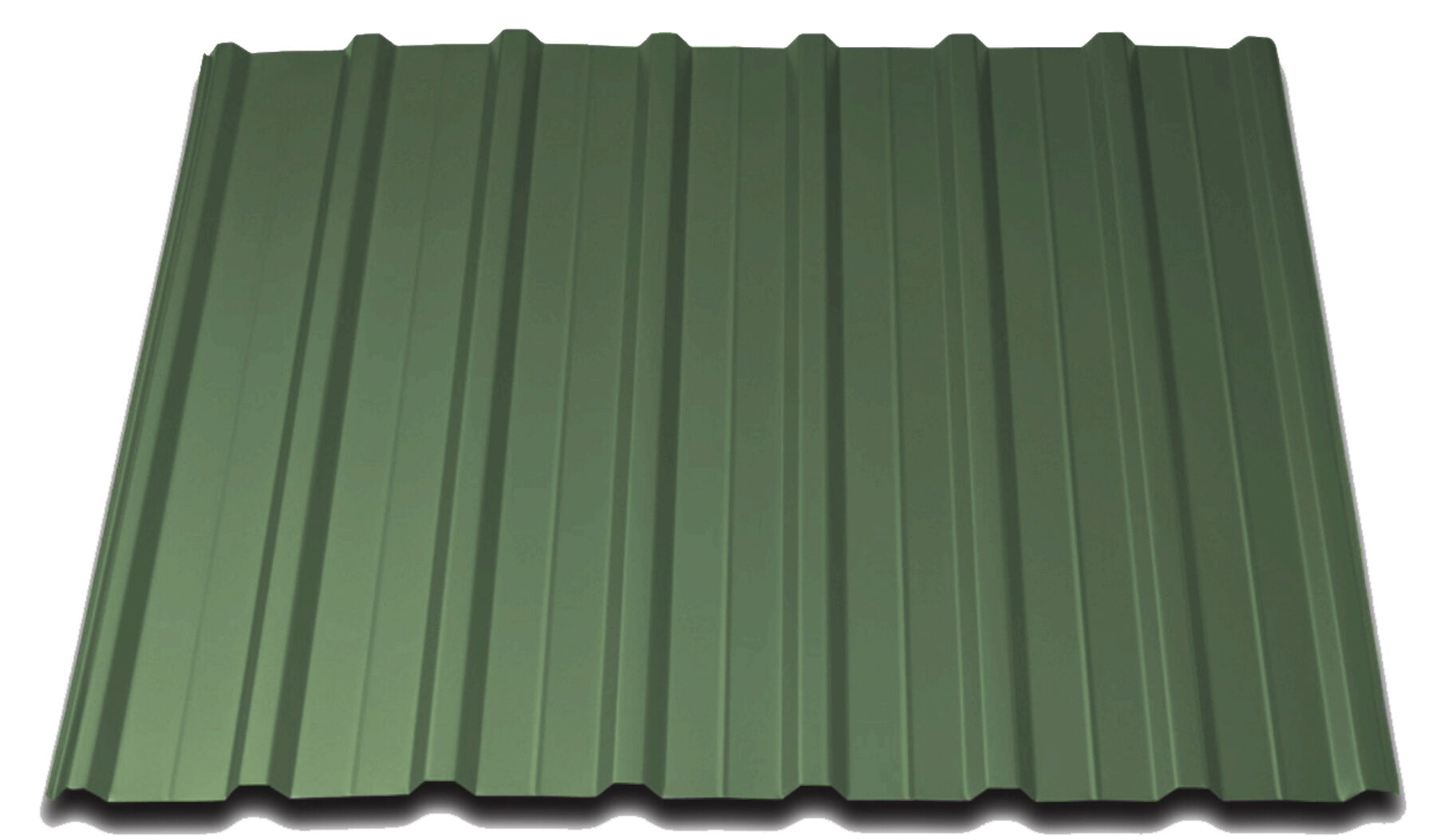 Carport Amrum 2 Douglasie mit Trapezblech Dunkelgrün
