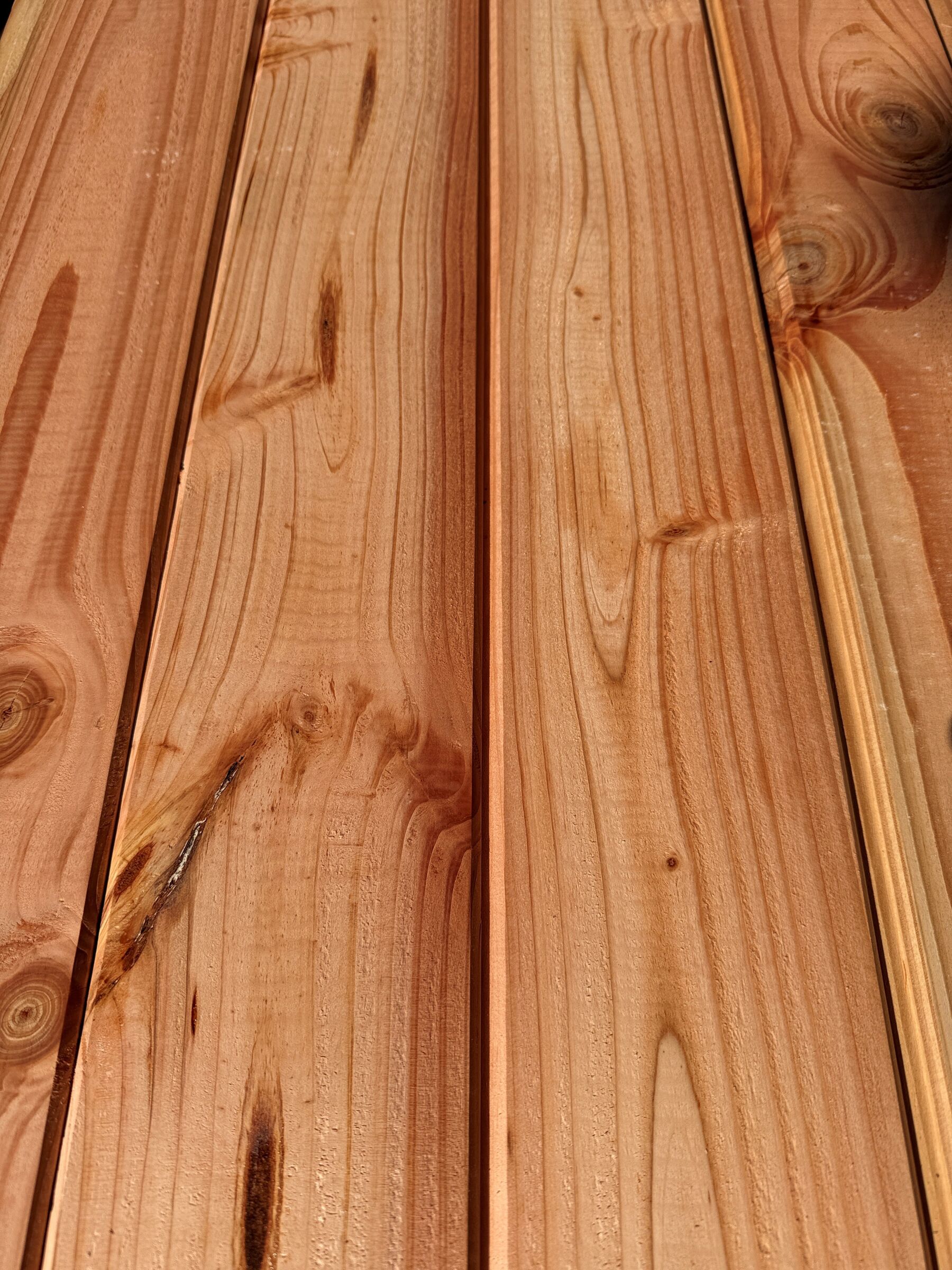 Douglasie Profilbretter Rund/Fase Profil, 16x116x3000 mm