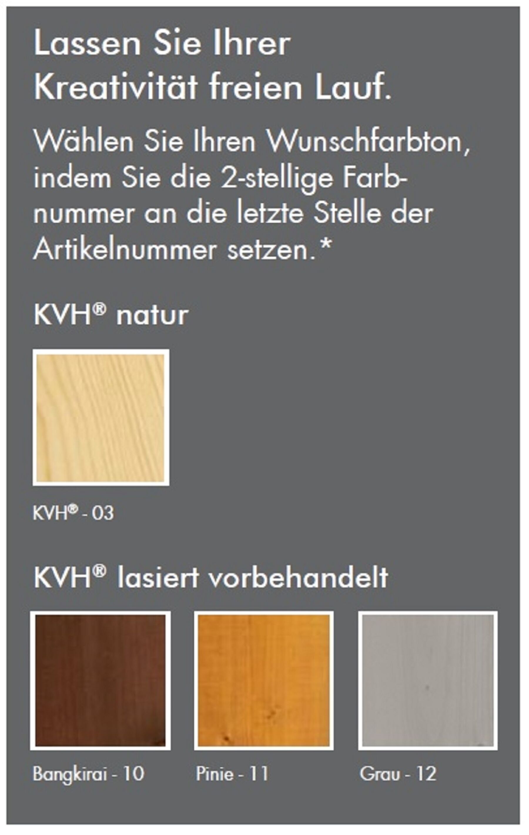 Carport Rügen 1 Naturbelassen