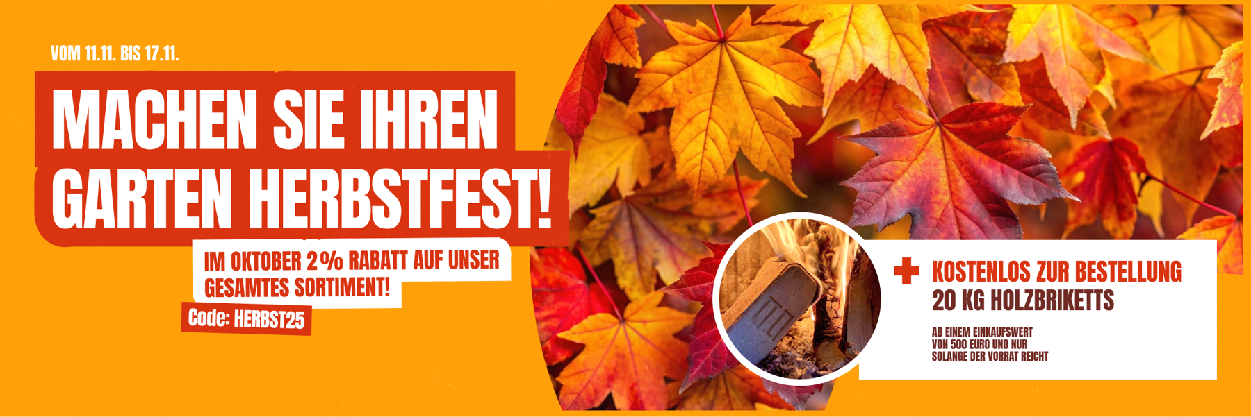 Blatt, Pflanze, Baum, Ahorn