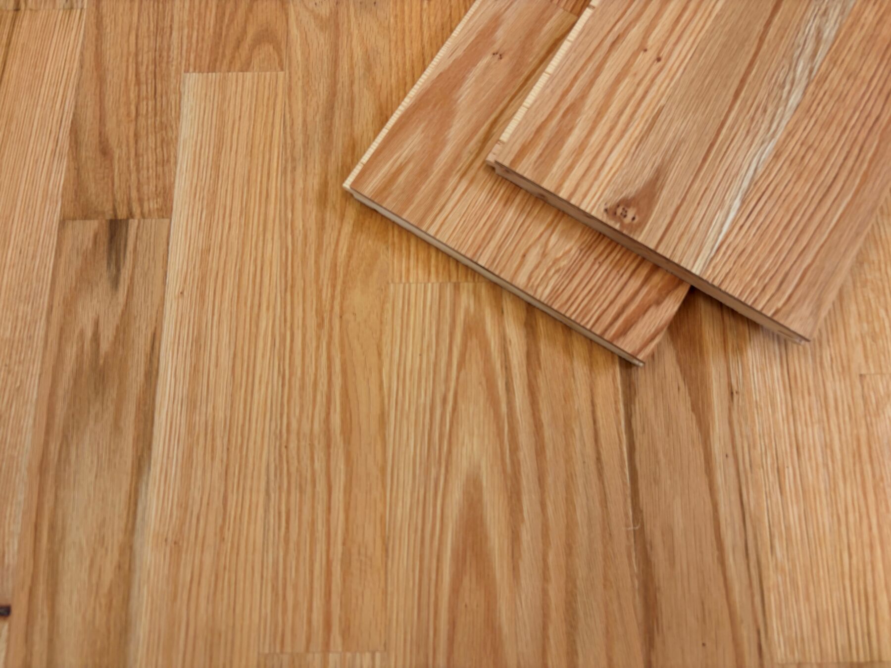 Parkett Roteiche Schiffsboden Eco geölt, 2390 x 198 x 14 mm wood, Holzboden, Bodenbelag, Dielen, Bretter
