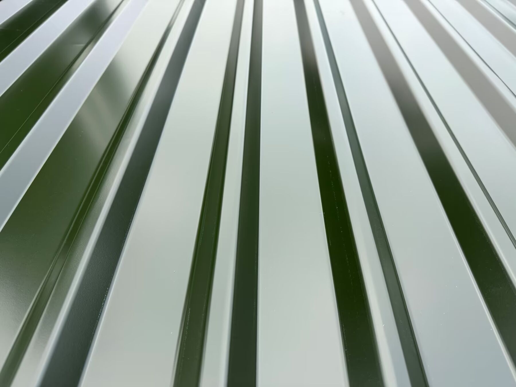 Blatt, Pflanze, Grün, Natur, Im Freien